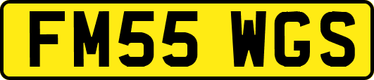 FM55WGS