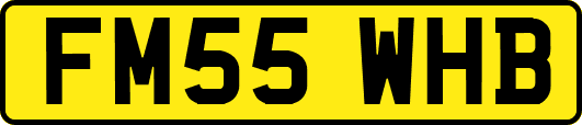 FM55WHB