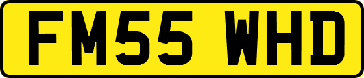 FM55WHD