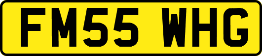 FM55WHG