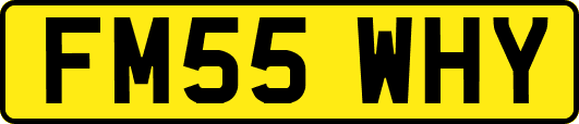 FM55WHY
