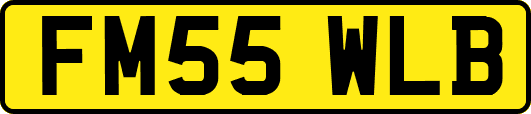 FM55WLB