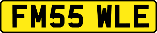 FM55WLE