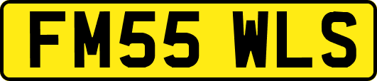 FM55WLS