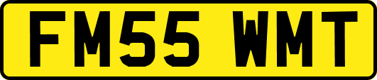 FM55WMT