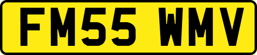 FM55WMV