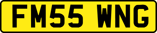 FM55WNG