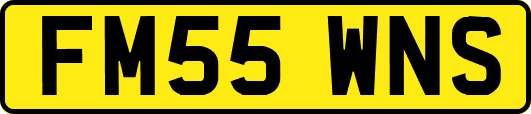 FM55WNS
