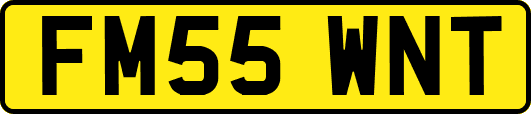 FM55WNT