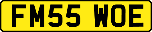FM55WOE