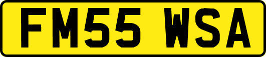 FM55WSA