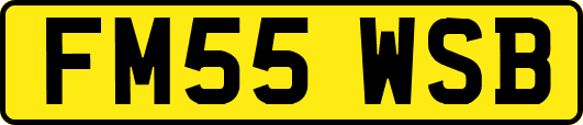 FM55WSB
