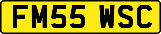 FM55WSC