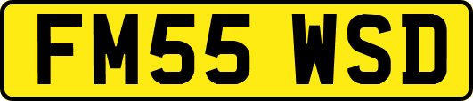 FM55WSD