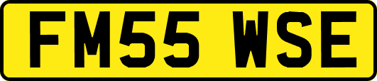 FM55WSE