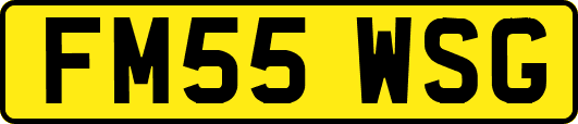 FM55WSG