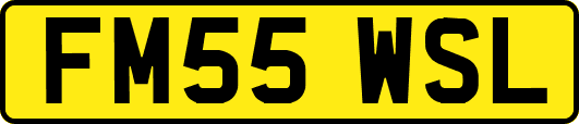 FM55WSL