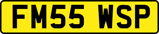 FM55WSP