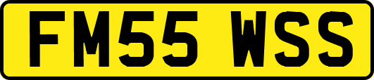 FM55WSS