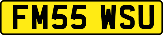 FM55WSU