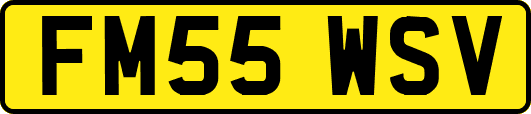 FM55WSV