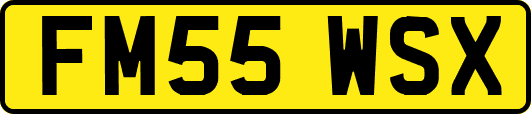 FM55WSX
