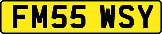 FM55WSY
