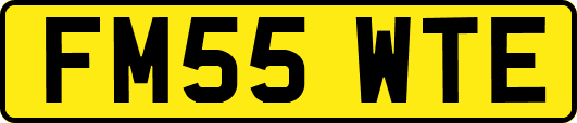 FM55WTE