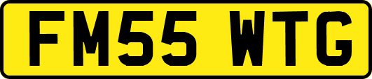 FM55WTG