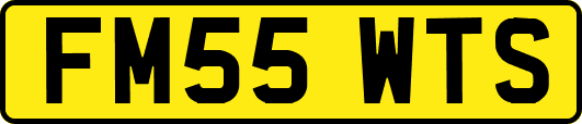 FM55WTS