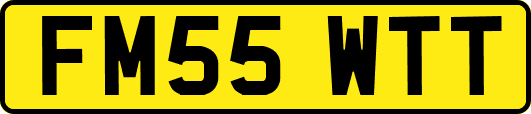 FM55WTT