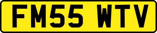 FM55WTV