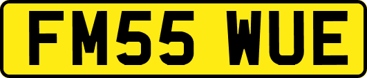 FM55WUE