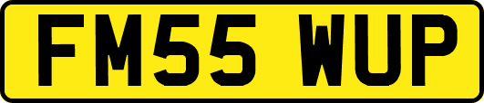 FM55WUP