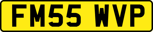 FM55WVP