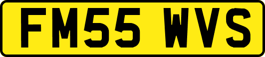 FM55WVS