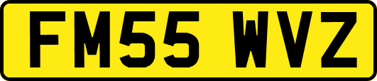 FM55WVZ