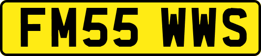 FM55WWS