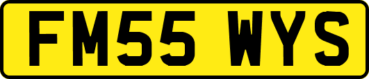 FM55WYS