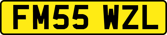 FM55WZL