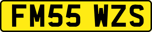 FM55WZS