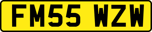 FM55WZW