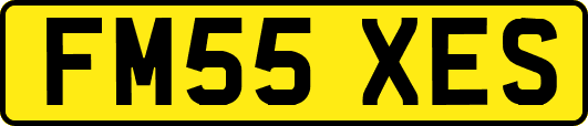 FM55XES