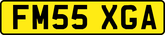 FM55XGA
