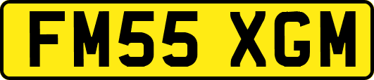 FM55XGM