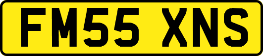 FM55XNS
