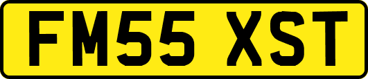 FM55XST