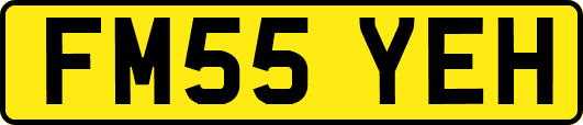FM55YEH