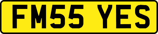 FM55YES