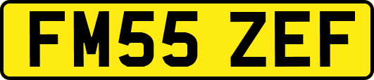 FM55ZEF